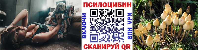 Галлюциногенные грибы прущие грибы  Купить  Гаджиево 